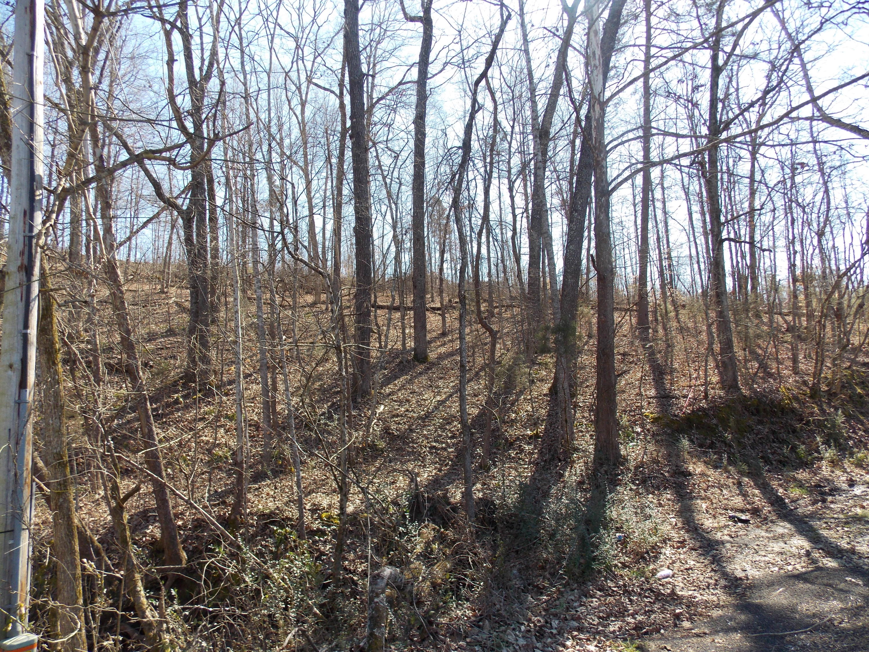 Lakeside Road Madisonville, TN 37354 - Photo 36 of 38 DSCN1619