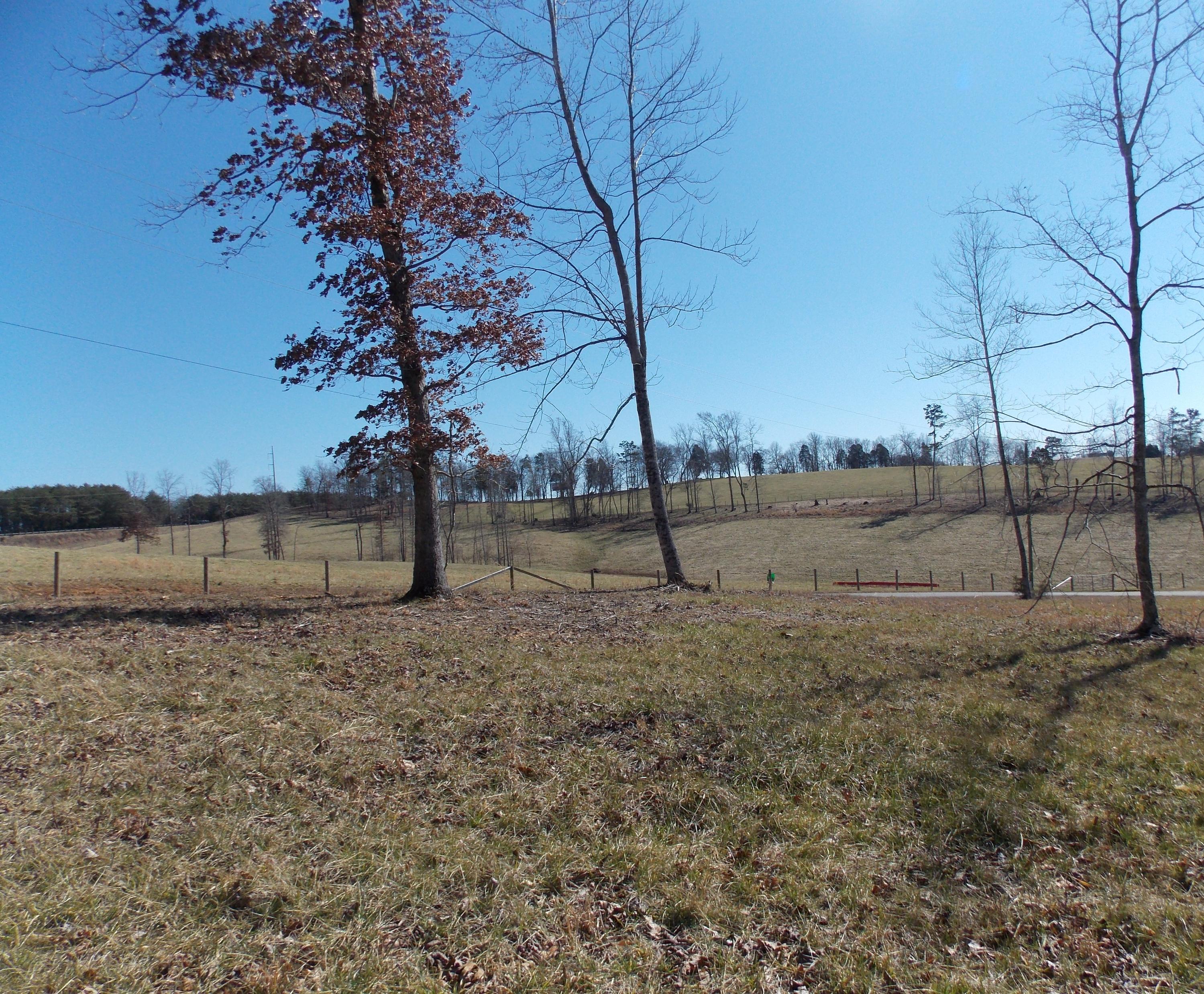 Lakeside Road Madisonville, TN 37354 - Photo 5 of 38 DSCN1604