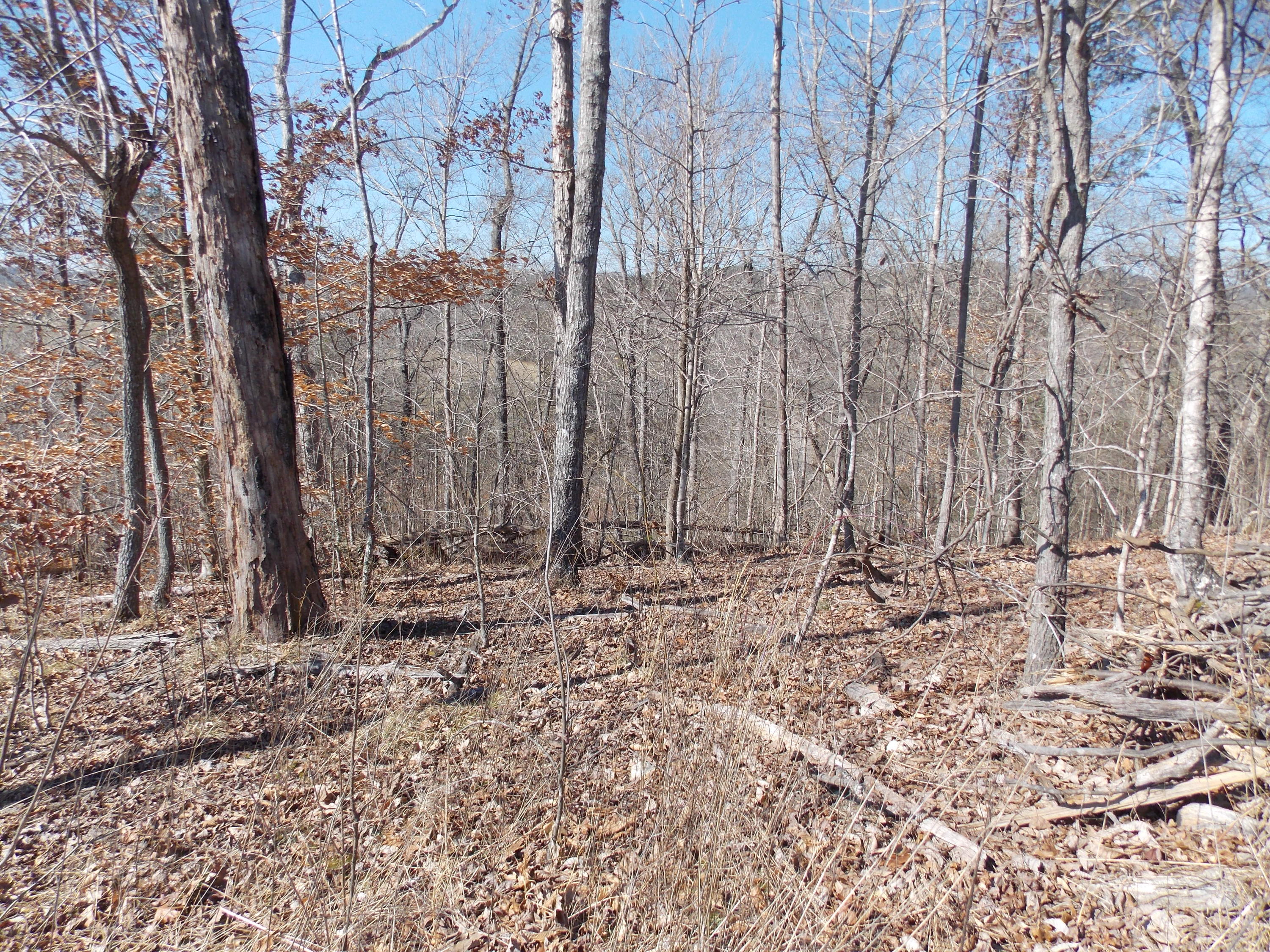 Lakeside Road Madisonville, TN 37354 - Photo 6 of 38 DSCN1601