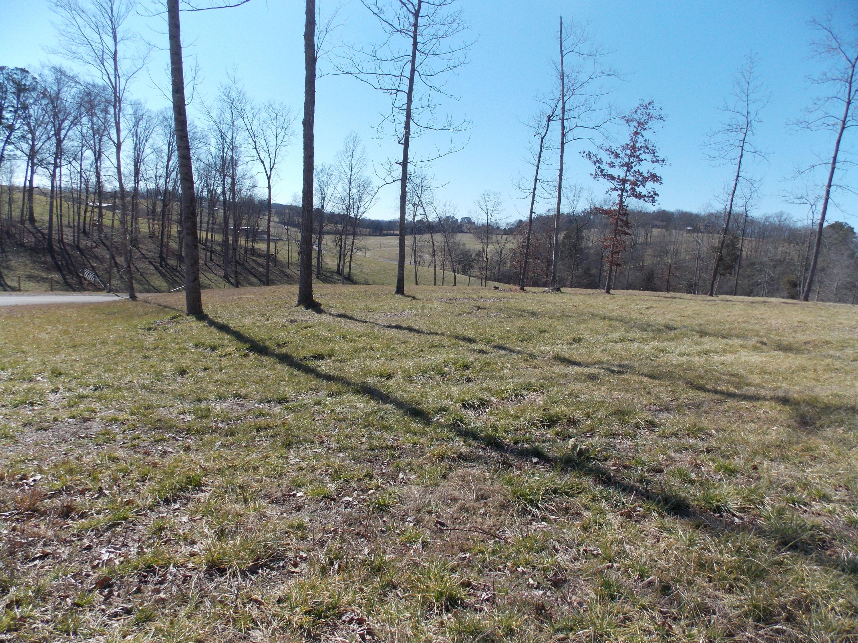 Lakeside Road Madisonville, TN 37354 - Photo 7 of 38 DSCN1595