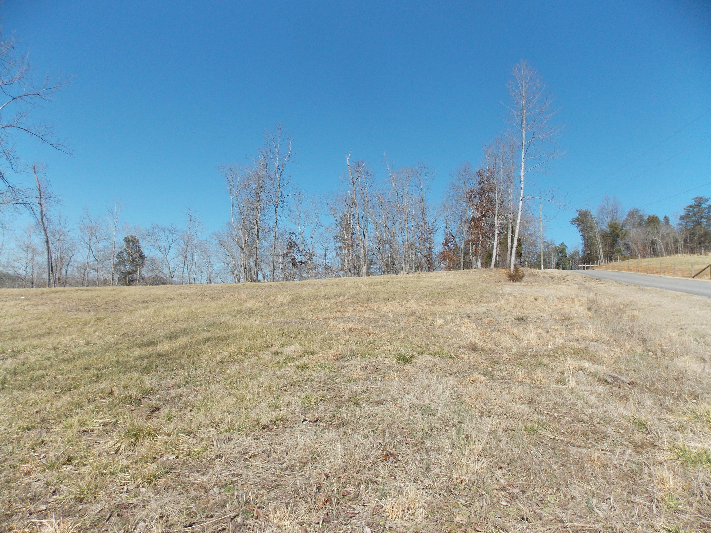 Lakeside Road Madisonville, TN 37354 - Photo 8 of 38 DSCN1594