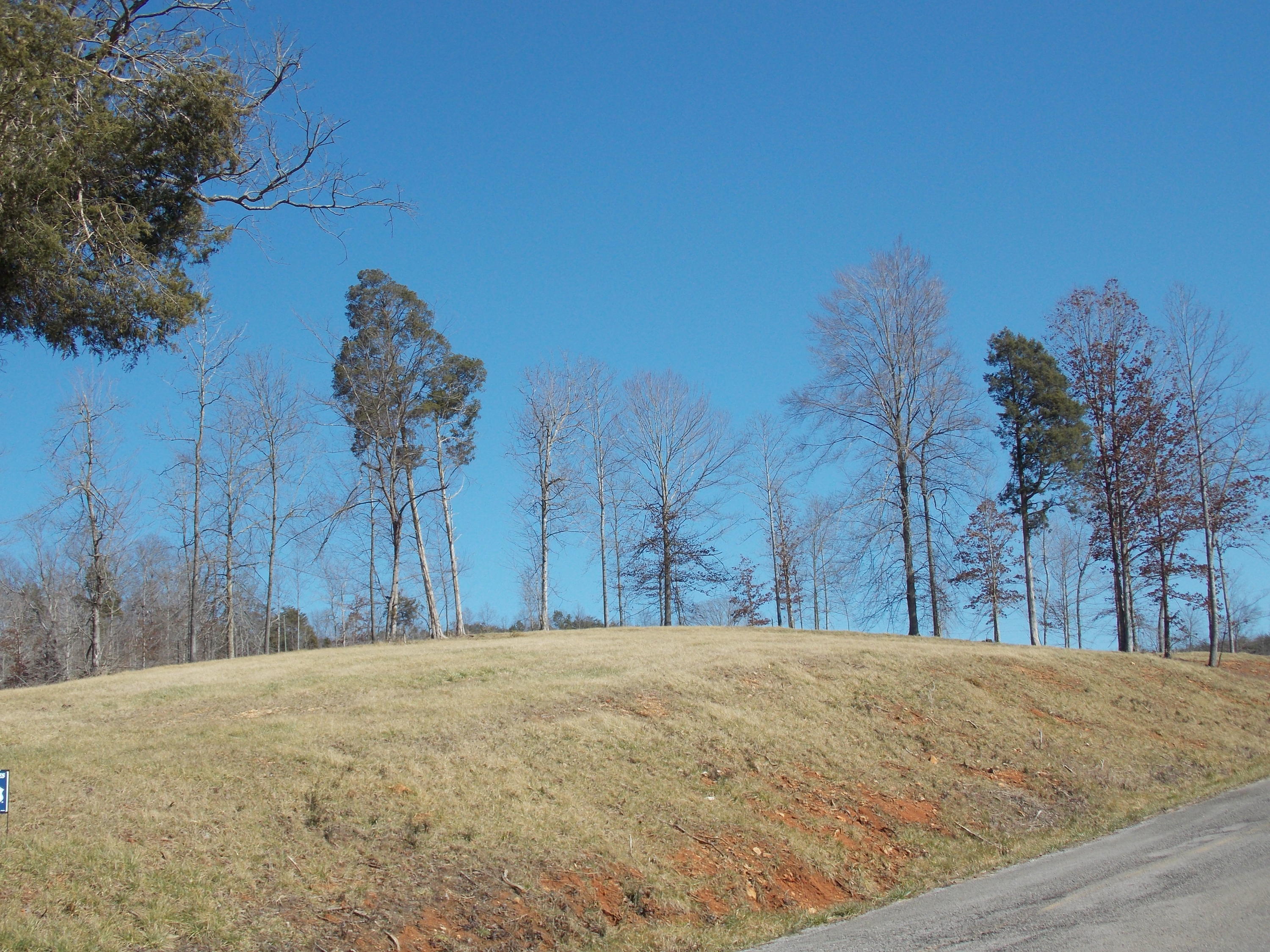 Lakeside Road Madisonville, TN 37354 - Photo 9 of 38 DSCN1592