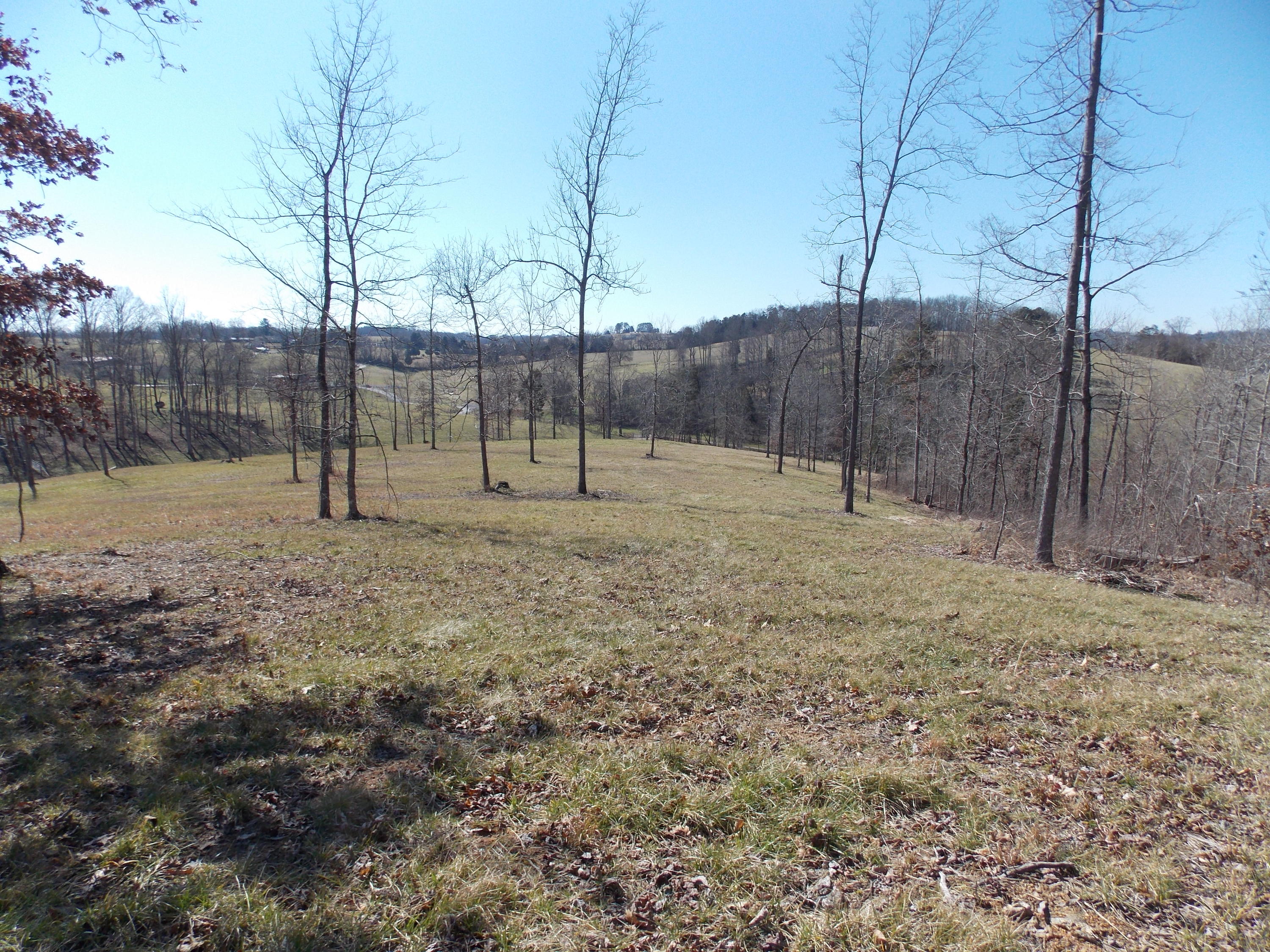 Lakeside Road Madisonville, TN 37354 - Photo 10 of 38 DSCN1598