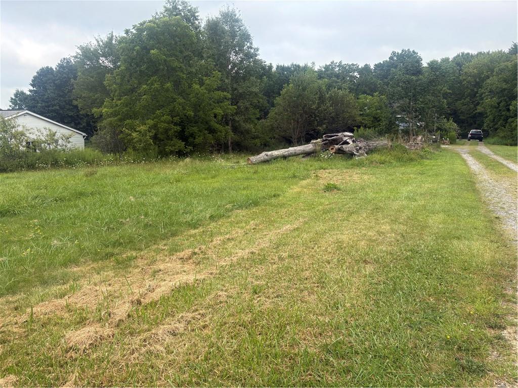 Lot #1 Barkeyville Road Grove City, PA 16127 - Photo 1 of 1 a view of a yard with a slide