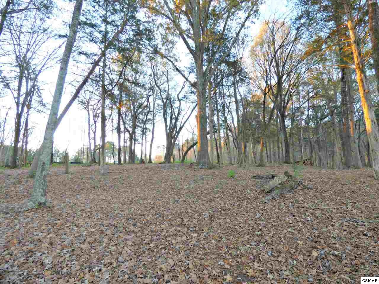 125 Ridge Point Trail Dandridge, TN 37725 - Photo 13 of 17 Gallery Image 13