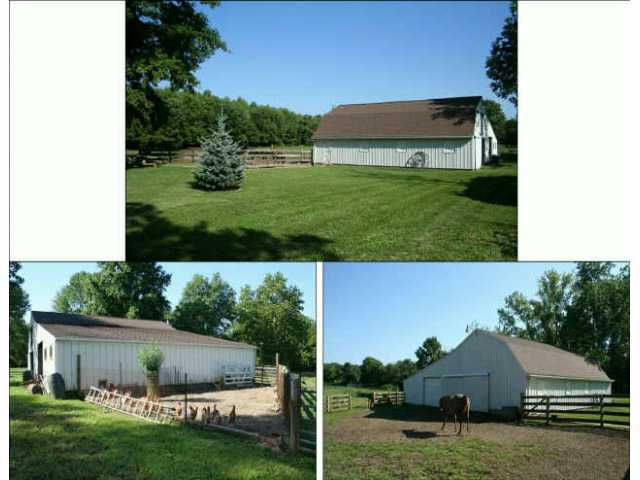 10439 Adams Road Galena, OH 43021 - Photo 8 of 10 Gallery Image 8
