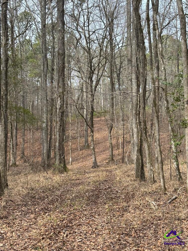1351 Dixon Road Roberta, GA 31078 - Photo 17 of 26