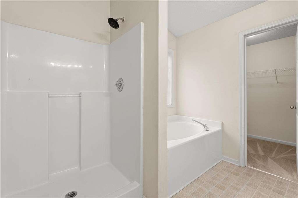 923 Downing Drive Bethlehem, GA 30620 - Photo 23 of 39 a bathroom with a tub a sink and a shower