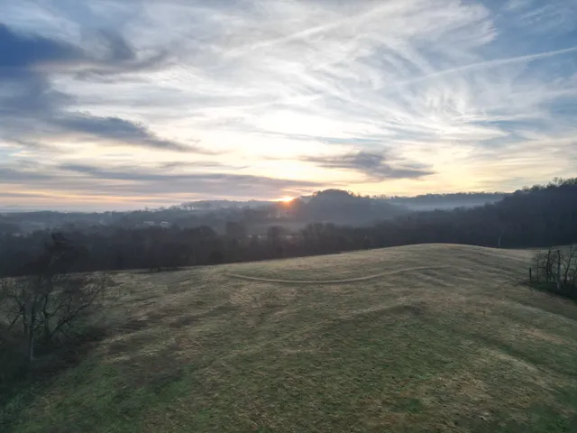 a view of a field with an ocean