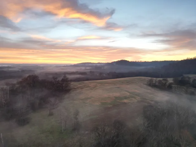 a view of an outdoor space and a yard