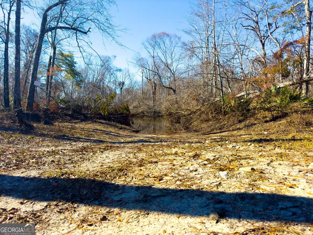 a view of yard with trees