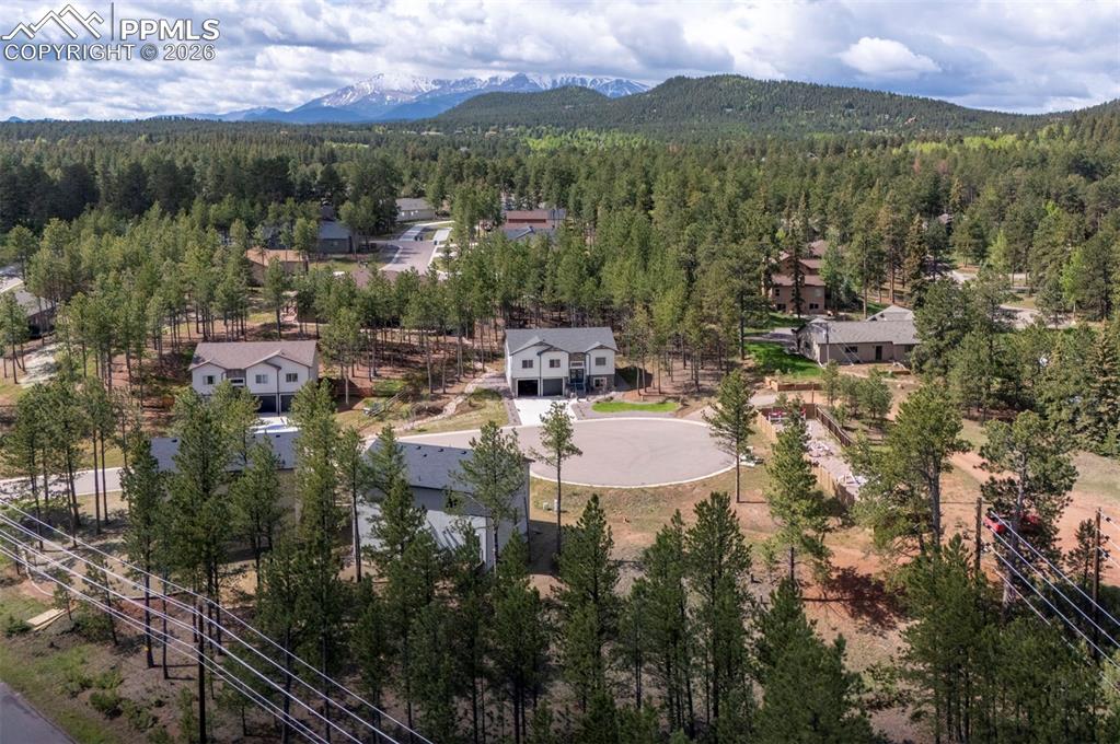 1396 Roberts Ranch Road Woodland Park, CO 80863 - Photo 13 of 15 a view of a city