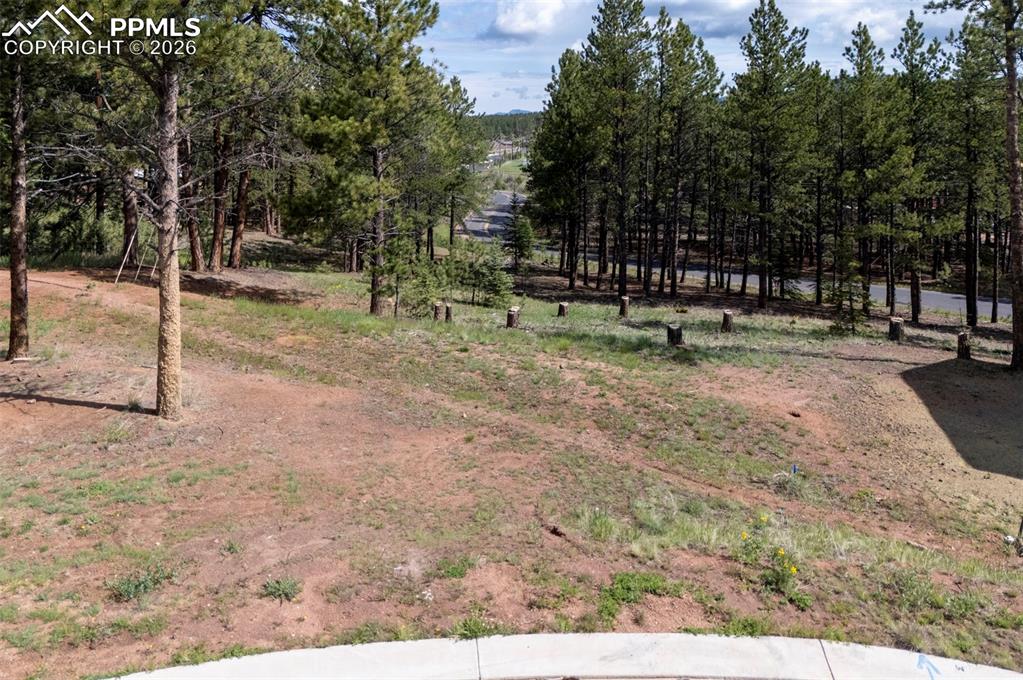 1396 Roberts Ranch Road Woodland Park, CO 80863 - Photo 14 of 15 a view of park