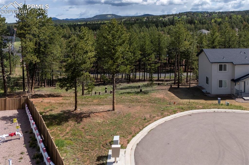 1396 Roberts Ranch Road Woodland Park, CO 80863 - Photo 4 of 15 a view of a backyard with a sink