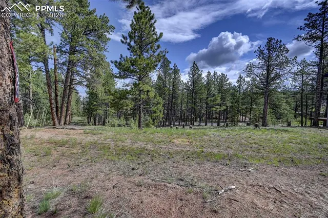 a view of outdoor space with trees
