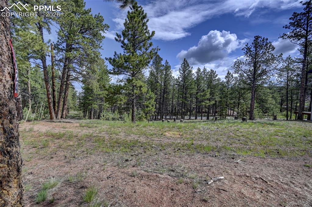 1396 Roberts Ranch Road Woodland Park, CO 80863 - Photo 8 of 15 a view of outdoor space with trees