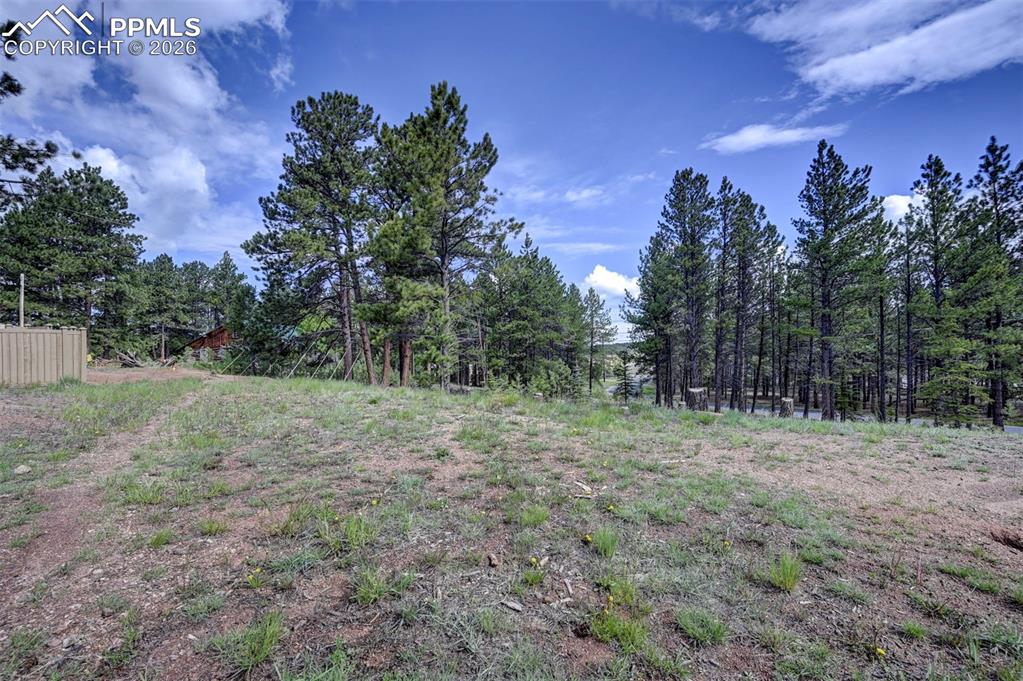 1396 Roberts Ranch Road Woodland Park, CO 80863 - Photo 9 of 15 a view of a forest with trees in the background