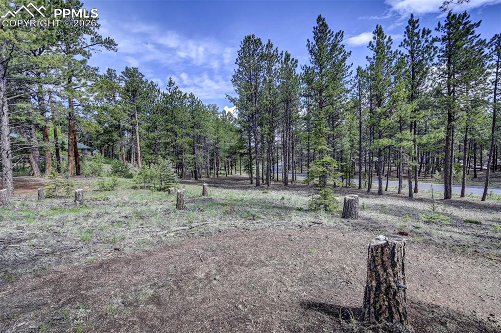 1396 Roberts Ranch Road Woodland Park, CO 80863 - Photo 10 of 15 a backyard of a house with lots of green space