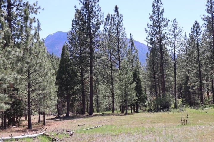 0 Masterson Road Gazelle, CA 96034 - Photo 23 of 26 Gallery Image 23