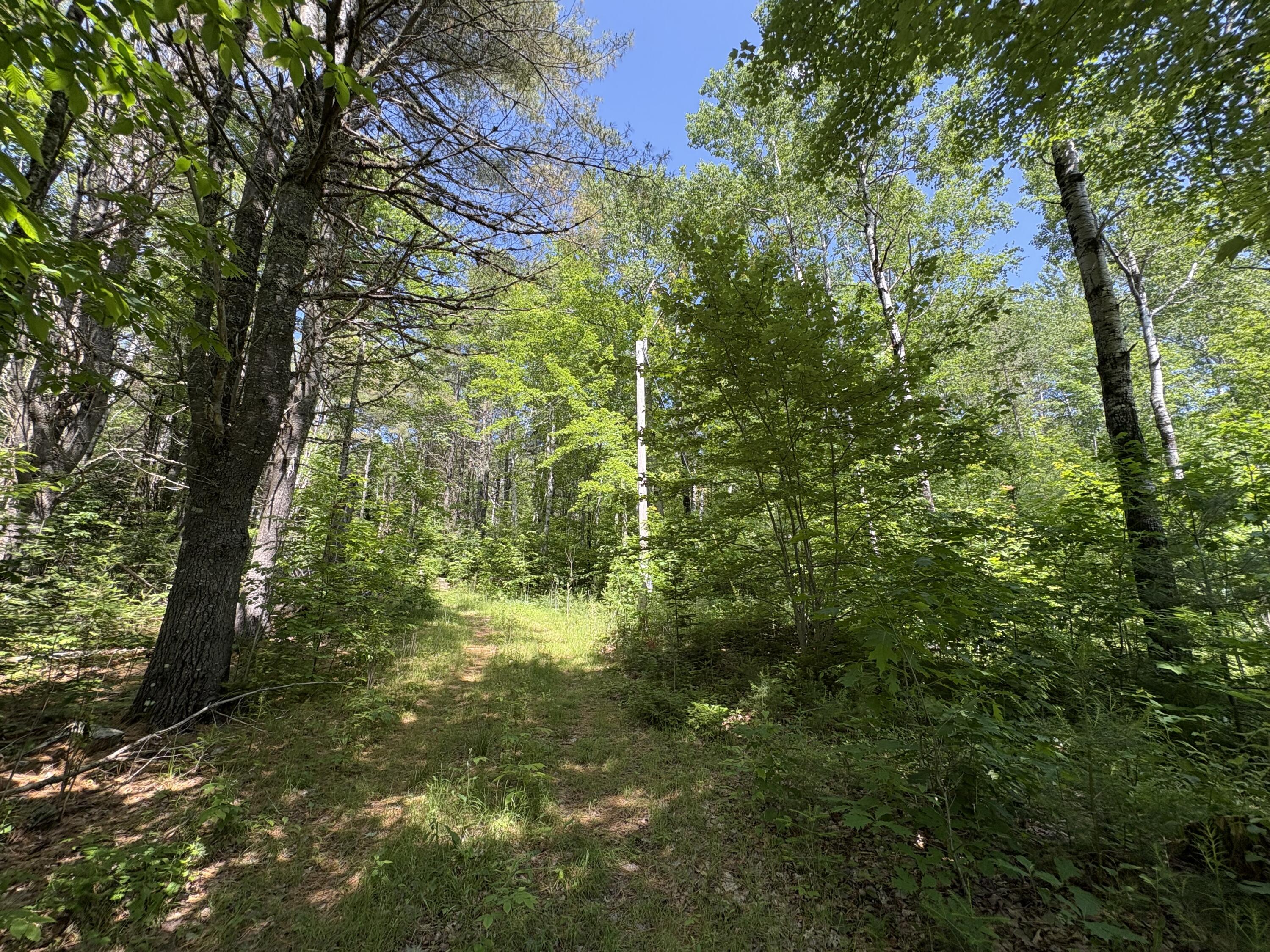 Pe040-15a Andrews Road Wytopitlock, ME 04497 - Photo 27 of 35 IMG_2267