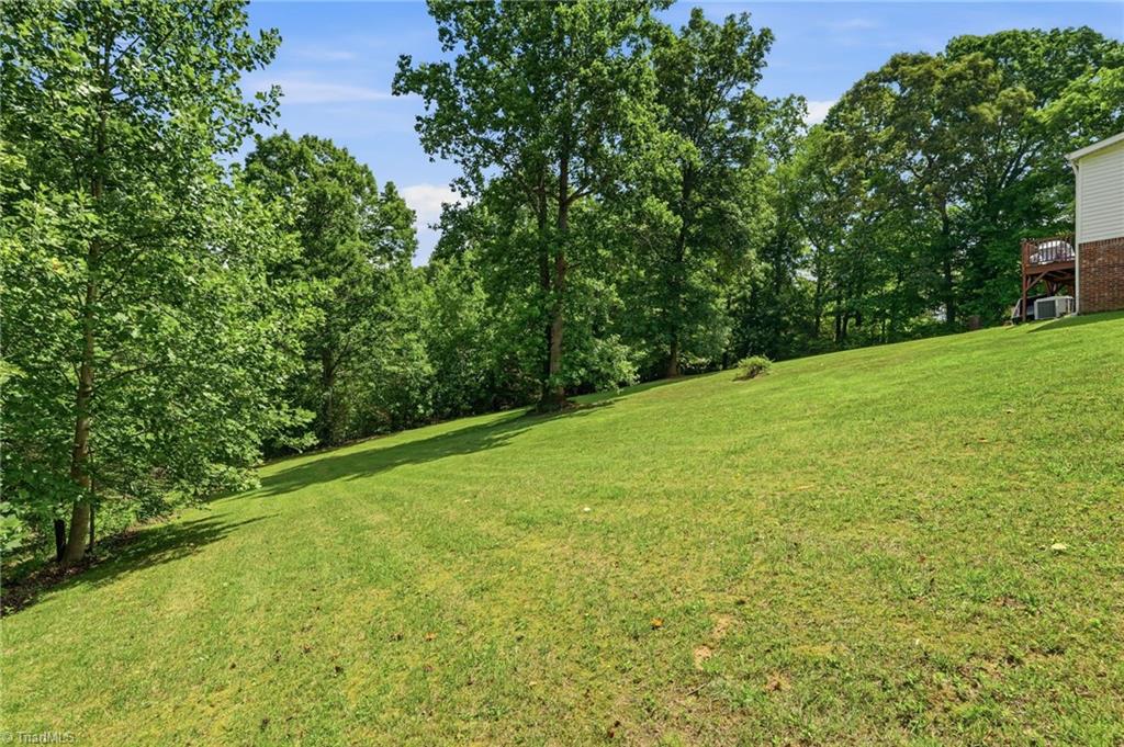 3307 Baltimore Road East Bend, NC 27018 - Photo 32 of 33 Spacious Backyard with year round views!!