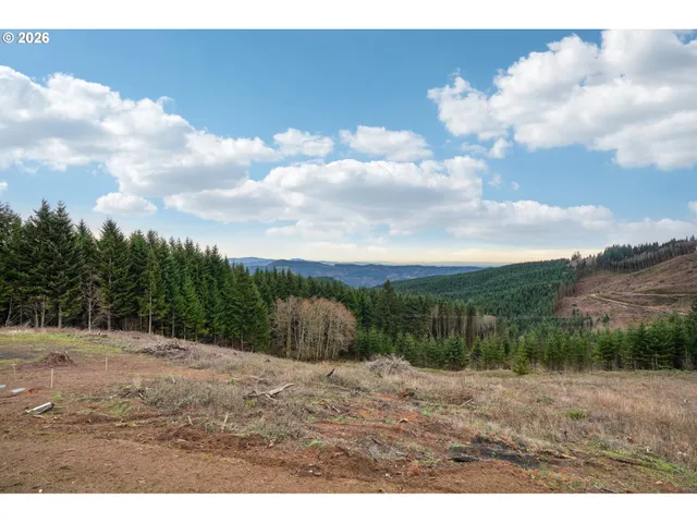 a view of an outdoor space with mountain view