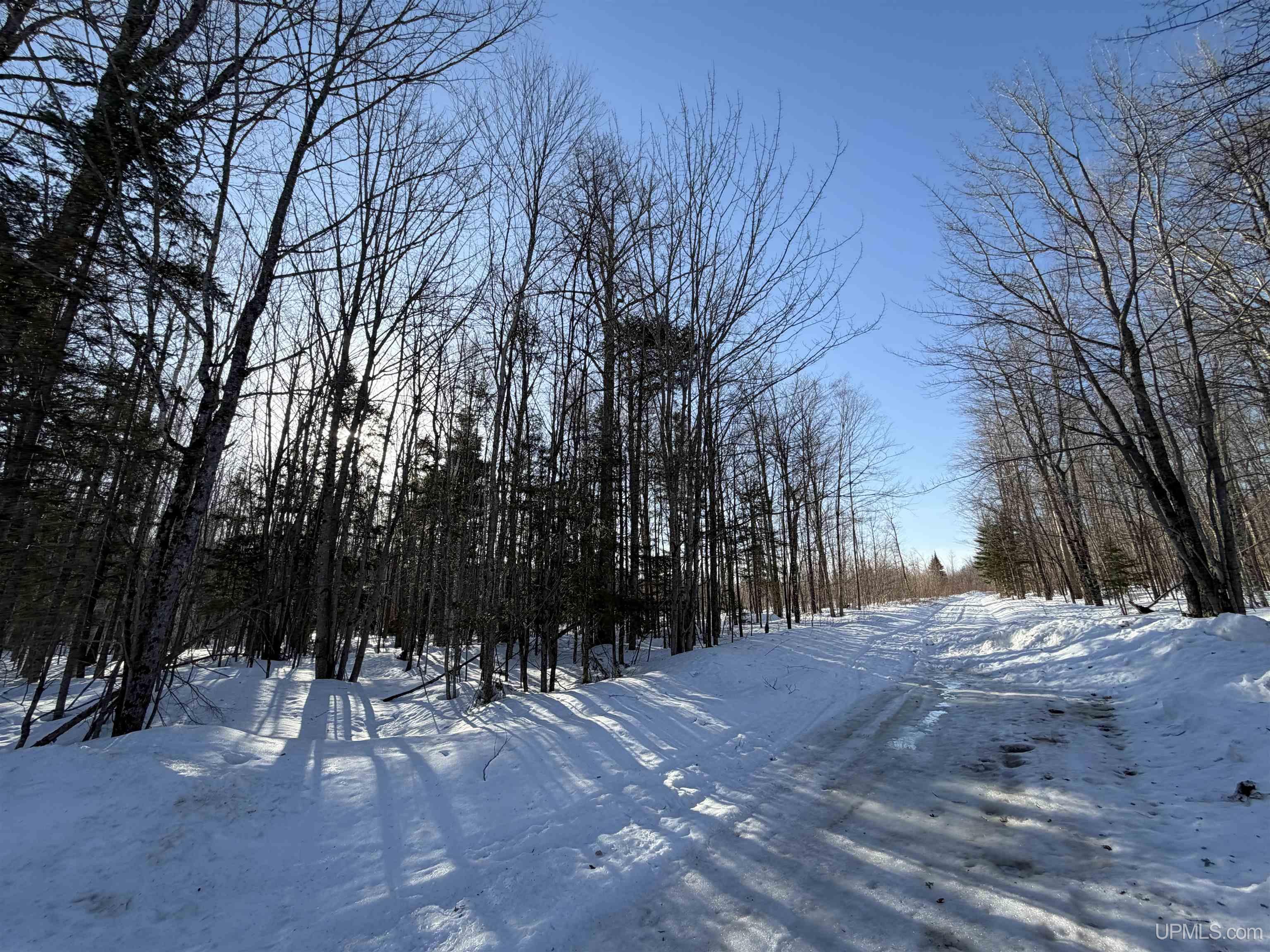 56-acres Halverson Road Skandia, MI 49885 - Photo 11 of 16