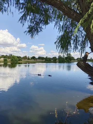a view of a lake with houses in the back