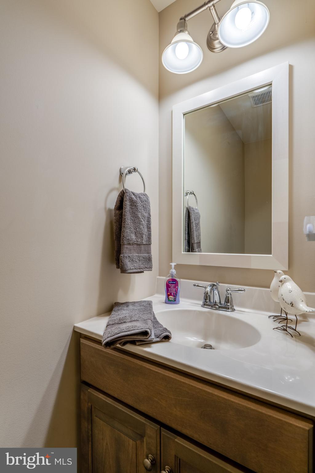 1400 Limestone Ridge Landisville, PA 17538 - Photo 32 of 50 a bathroom with a sink and a mirror