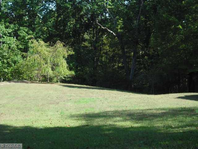 271 Moser Road King, NC 27021 - Photo 7 of 16 Yard/Garden.