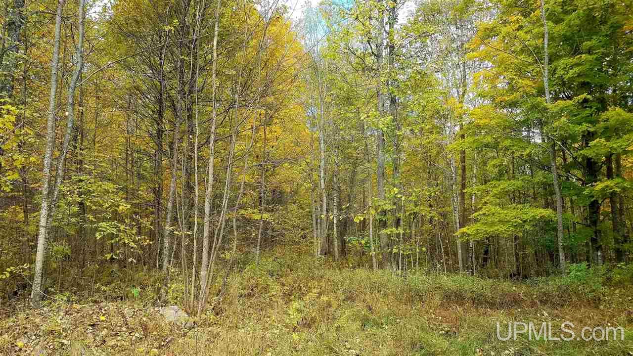 T-wi West Wi 54542 Road Long Lake, WI 54542 - Photo 1 of 5