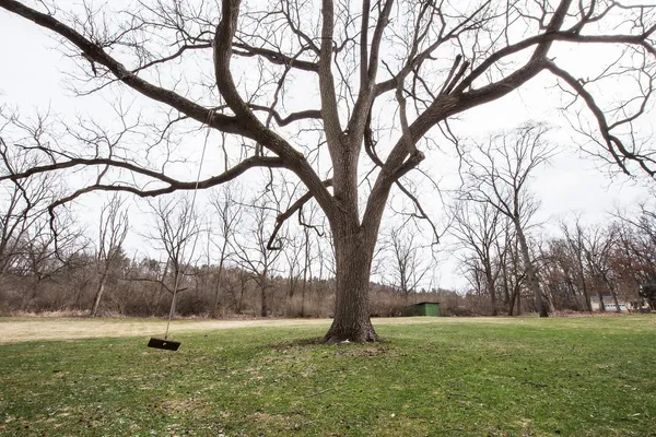 $800,000 | 4080 Joanne Court, Ann Arbor, MI 48103