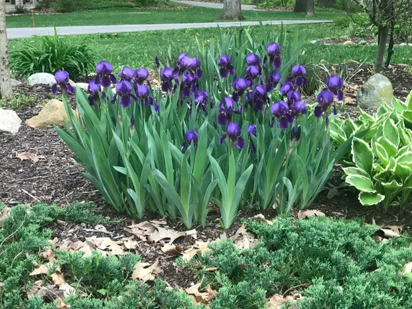 $800,000 | 4080 Joanne Court, Ann Arbor, MI 48103