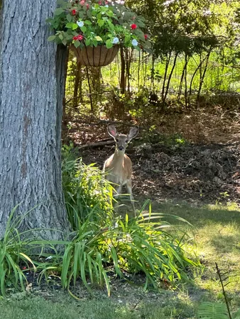 $800,000 | 4080 Joanne Court, Ann Arbor, MI 48103