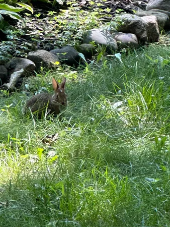 $800,000 | 4080 Joanne Court, Ann Arbor, MI 48103