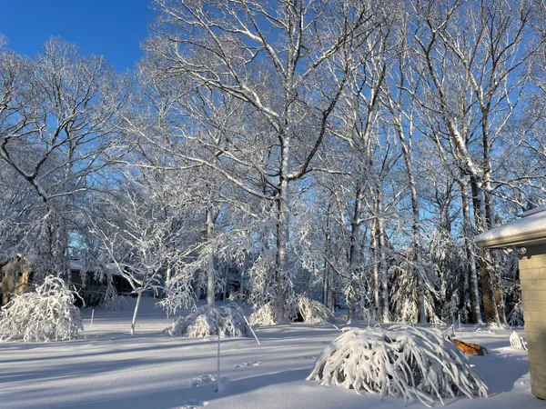 $800,000 | 4080 Joanne Court, Ann Arbor, MI 48103