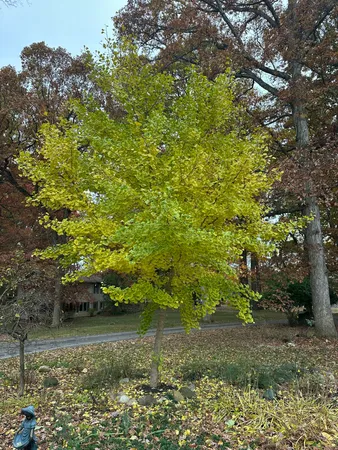 $800,000 | 4080 Joanne Court, Ann Arbor, MI 48103