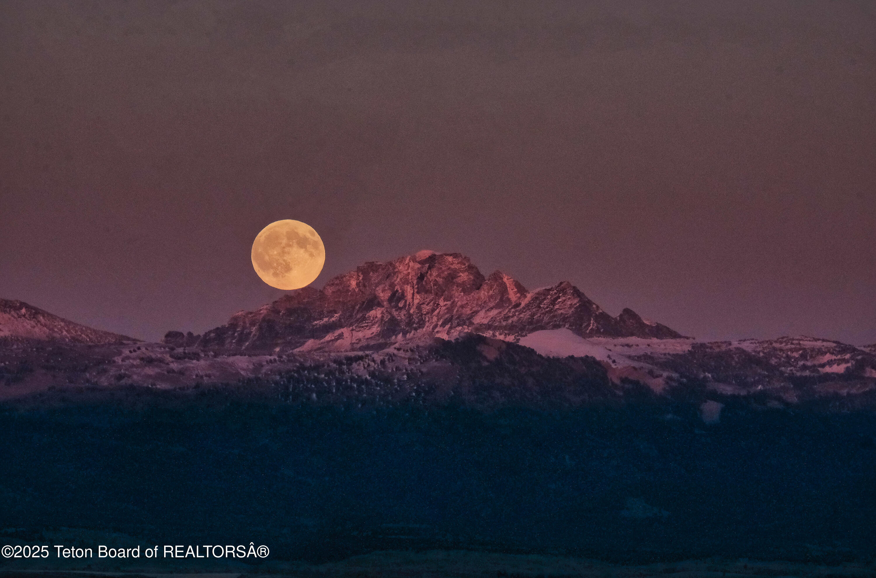 8505 Appaloosa Ridge Trail Tetonia, ID 83452 - Photo 2 of 26 Appaloosa Ridge_Views_MLS-9