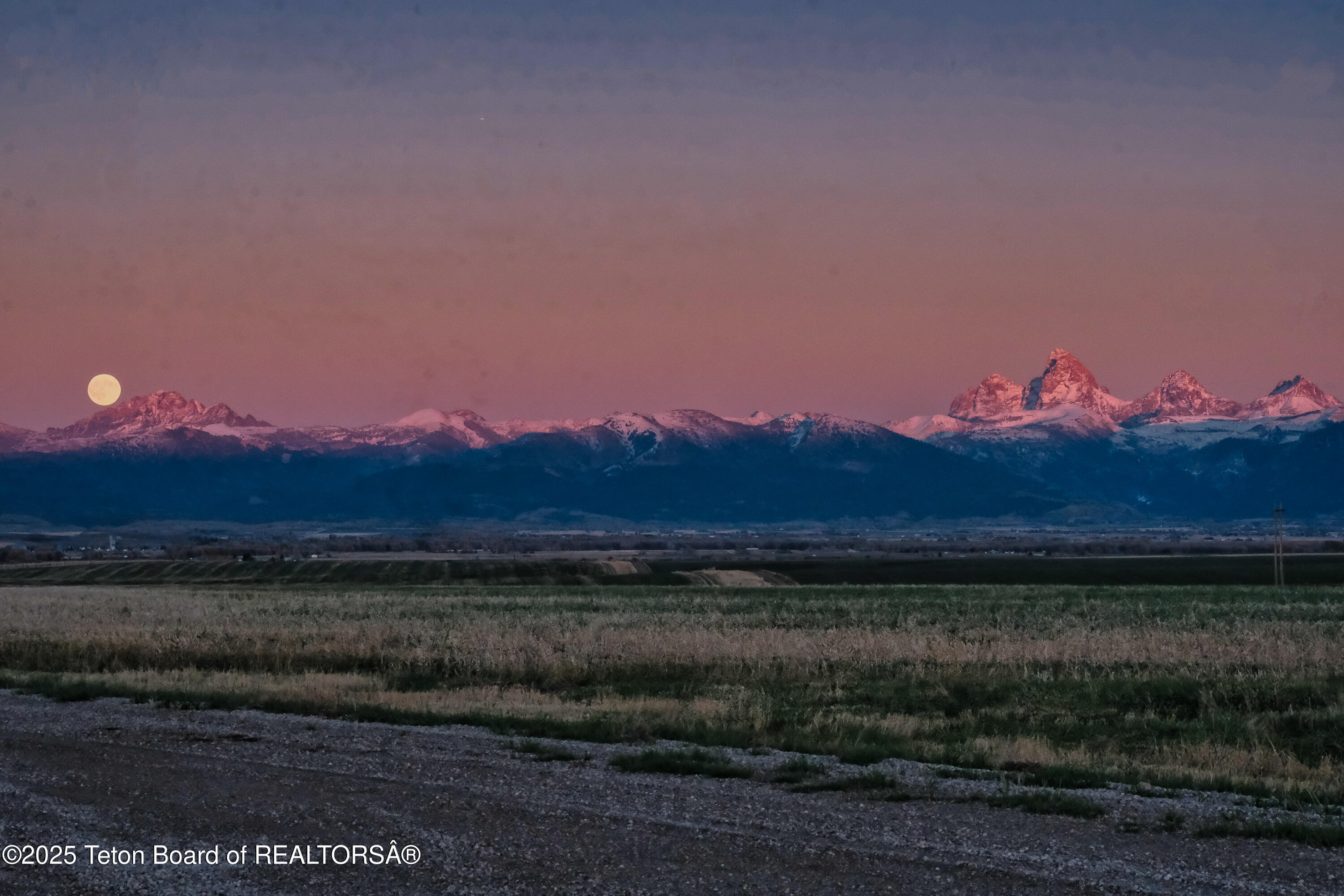 8505 Appaloosa Ridge Trail Tetonia, ID 83452 - Photo 4 of 26 Appaloosa Ridge_Views_MLS-8