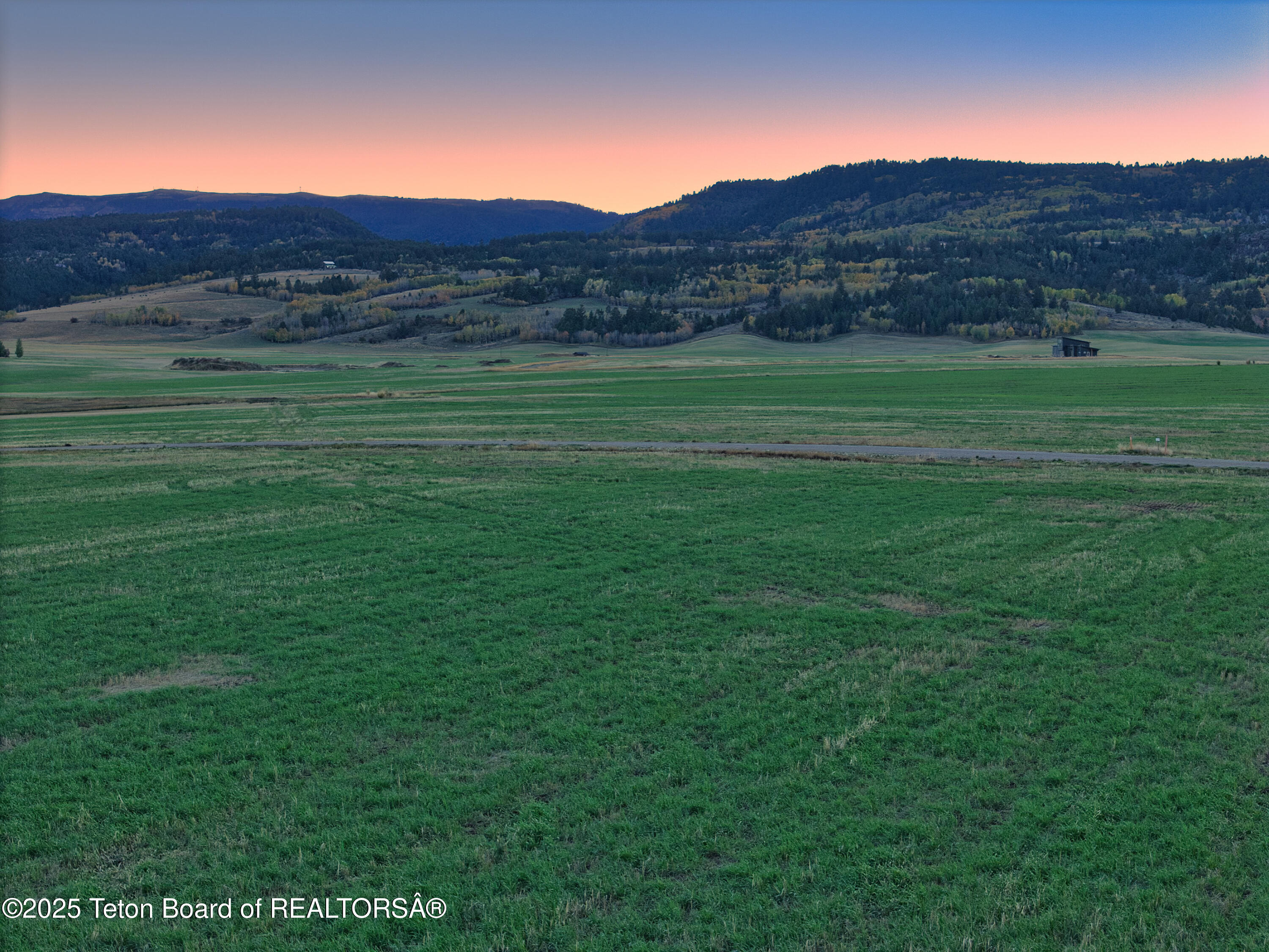 8505 Appaloosa Ridge Trail Tetonia, ID 83452 - Photo 5 of 26 Appaloosa Ridge_Views_MLS-12
