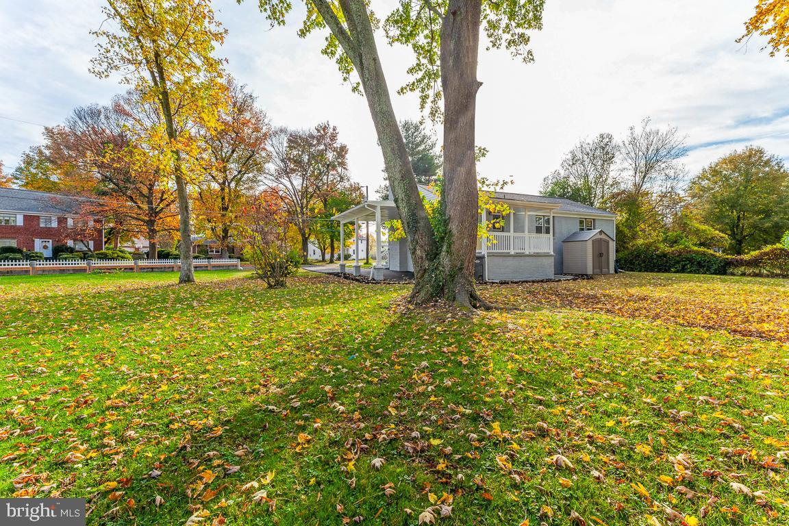 6726 Queens Road Alexandria, VA 22306 - Photo 4 of 36 Gallery Image 4