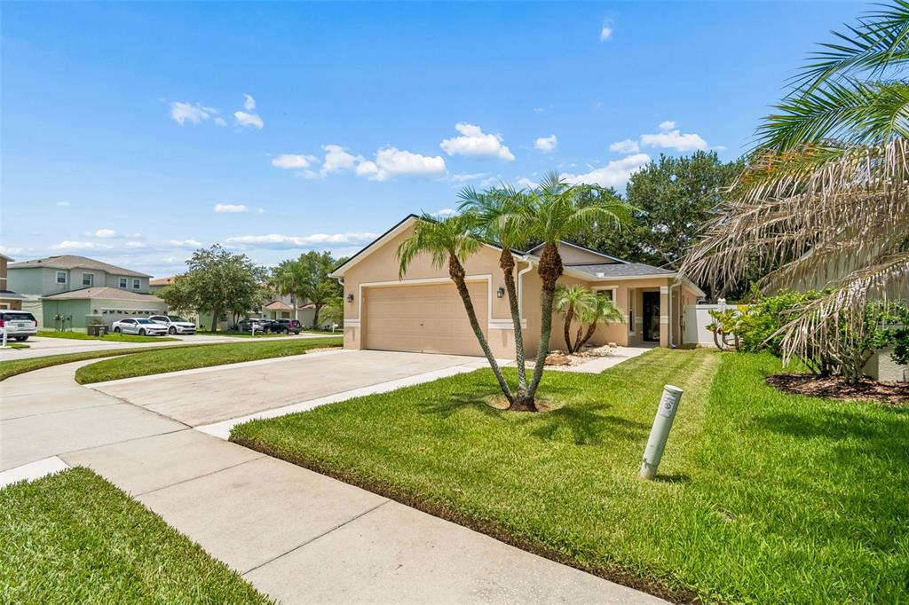 32323 Fish Hook Loop Wesley Chapel, FL 33545 - Photo 3 of 76