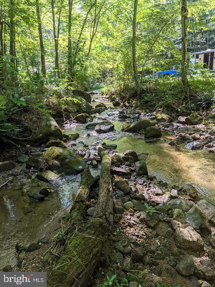 Tbd Perry Lane Lovingston, VA 22949 - Photo 5 of 8 a view of a lake with lots of trees