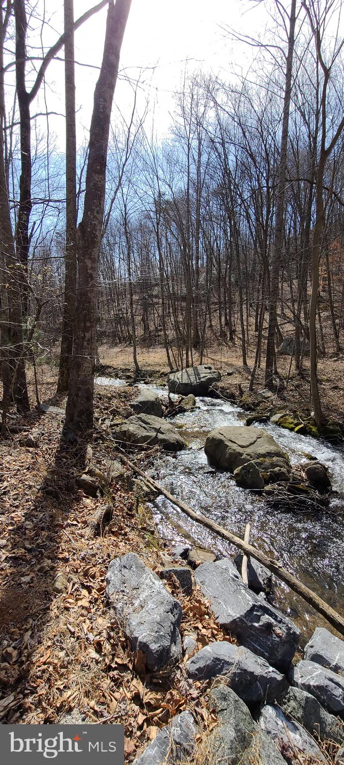 Tbd Perry Lane Lovingston, VA 22949 - Photo 7 of 8 a view of a yard with trees