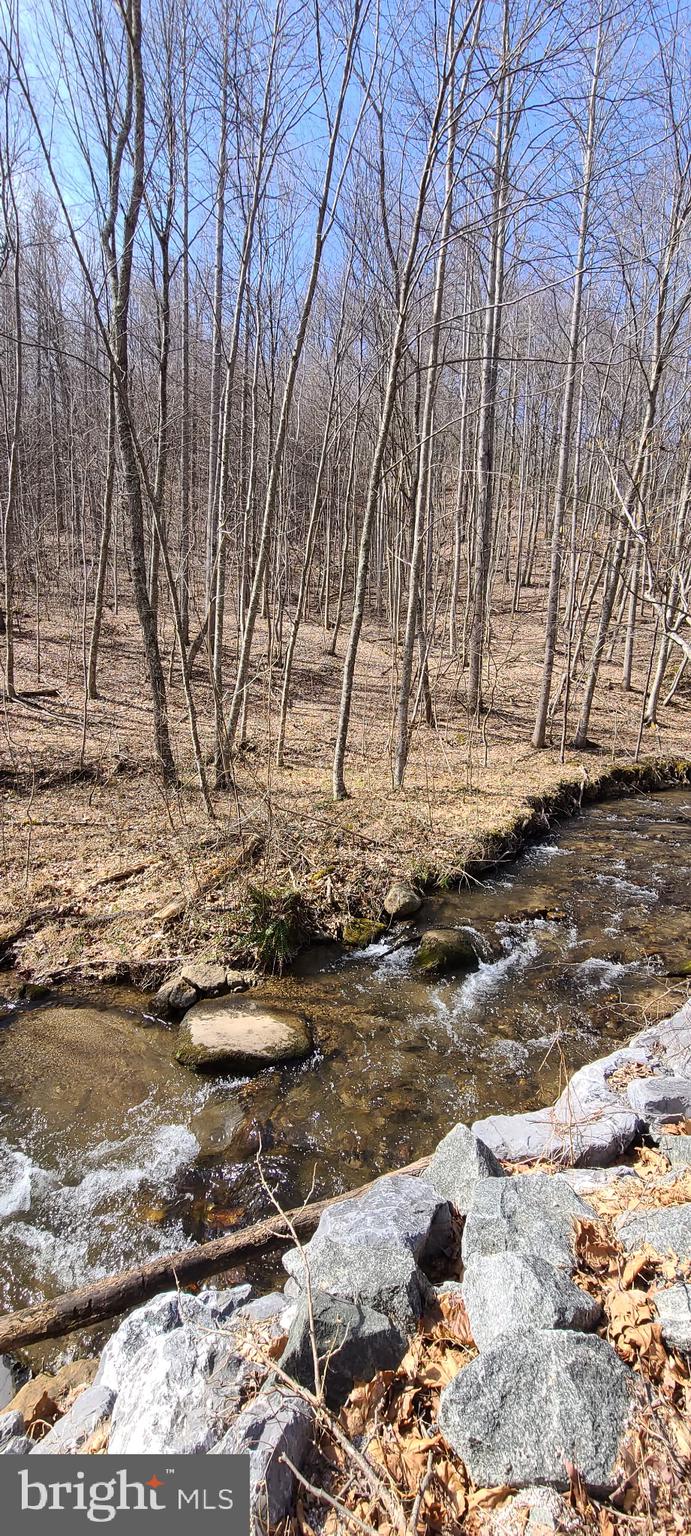 Tbd Perry Lane Lovingston, VA 22949 - Photo 8 of 8