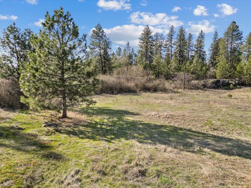 55-xx West Lawton Road Spokane, WA 99224 - Photo 14 of 14