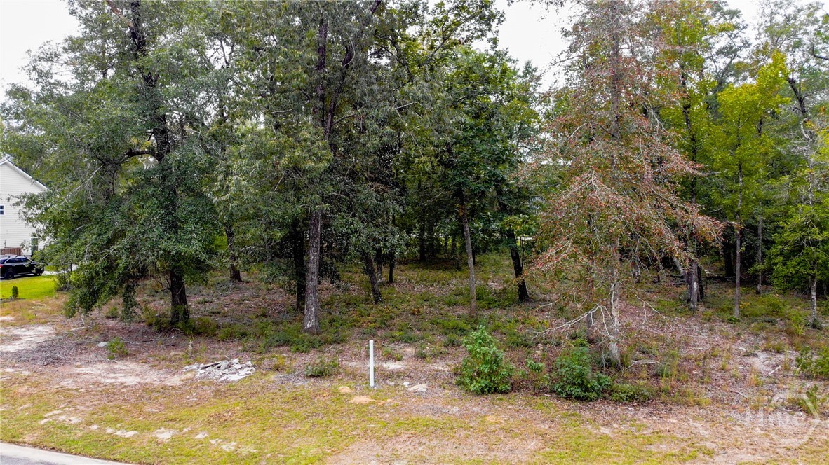 104 Speir Court Rincon, GA 31326 - Photo 5 of 11 Lot View
