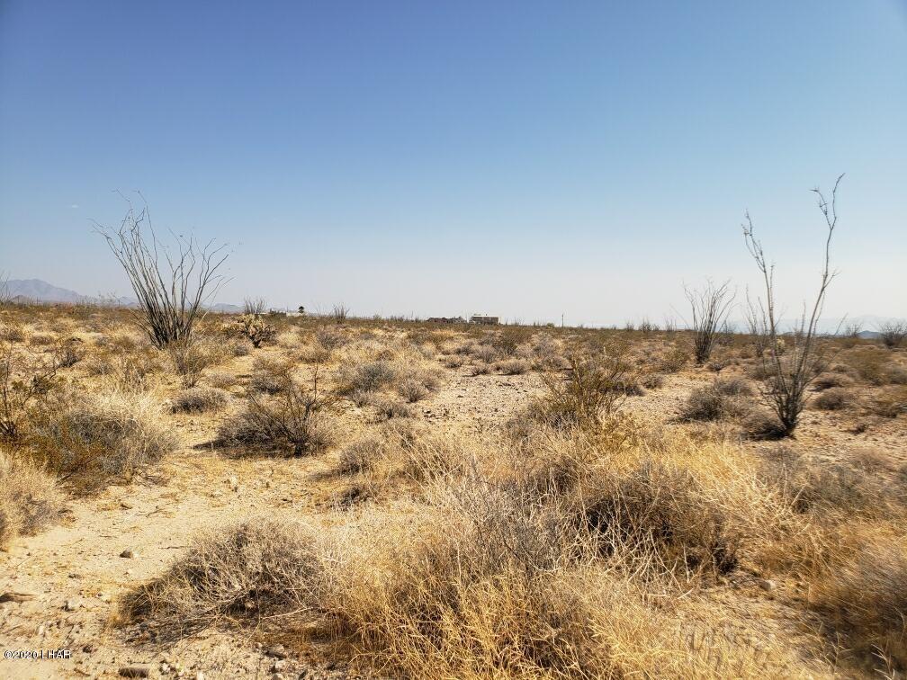 Lot 41 West Wilshire Road Yucca, AZ 86438 - Photo 2 of 11 lot 41:4