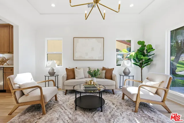 a living room with furniture potted plant and a window