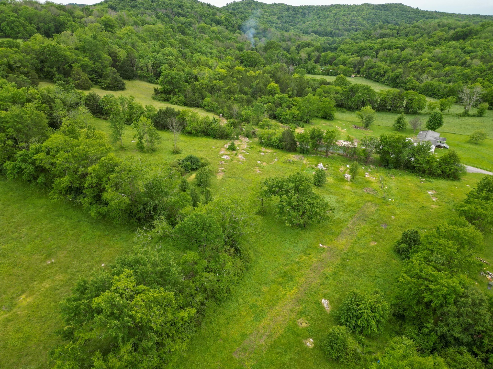 0 Statesville Road Watertown, TN 37184 - Photo 1 of 7 a view of a lush green forest with lots of trees